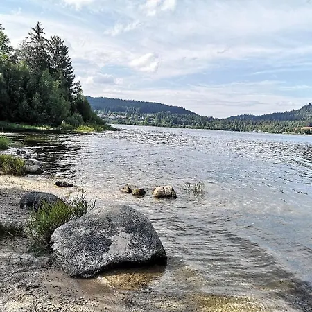 C1 Albmatte-fewo Sauna, Hallenbad Aussenbecken Massagen Nebenan شقة Menzenschwand-Hinterdorf