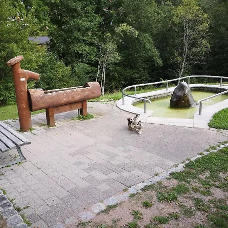 شقة C1 Albmatte-fewo Sauna, Hallenbad Aussenbecken Massagen Nebenan Menzenschwand-Hinterdorf