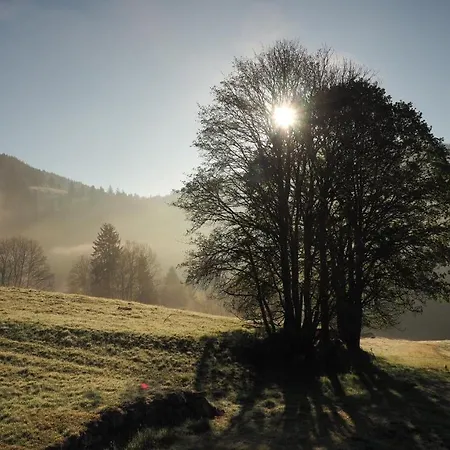 شقة C1 Albmatte-fewo Sauna, Hallenbad Aussenbecken Massagen Nebenan Menzenschwand-Hinterdorf