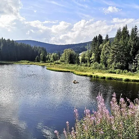 C1 Albmatte-fewo Sauna, Hallenbad Aussenbecken Massagen Nebenan Menzenschwand