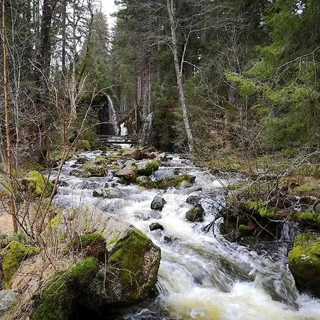 C1 Albmatte-fewo Sauna, Hallenbad Aussenbecken Massagen Nebenan شقة *