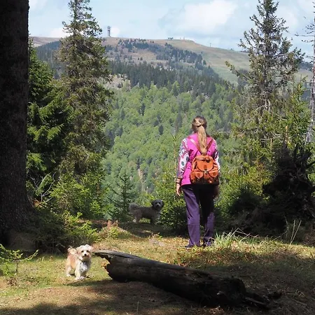 C1 Albmatte-fewo Sauna, Hallenbad Aussenbecken Massagen Nebenan شقة *