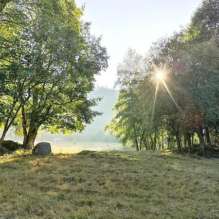 شقة C1 Albmatte-fewo Sauna, Hallenbad Aussenbecken Massagen Nebenan Menzenschwand-Hinterdorf
