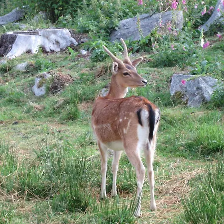 شقة C1 Albmatte-fewo Sauna, Hallenbad Aussenbecken Massagen Nebenan