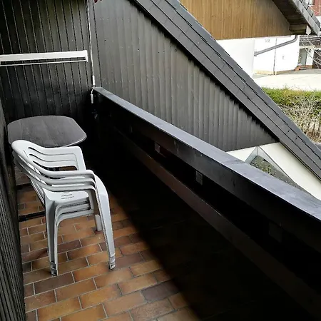 C1 Albmatte-fewo Sauna, Hallenbad Aussenbecken Massagen Nebenan شقة Menzenschwand-Hinterdorf