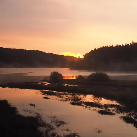 C1 Albmatte-fewo Sauna, Hallenbad Aussenbecken Massagen Nebenan *