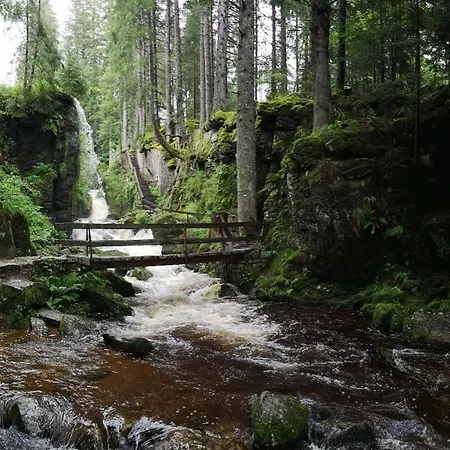 C1 Albmatte-fewo Sauna, Hallenbad Aussenbecken Massagen Nebenan شقة