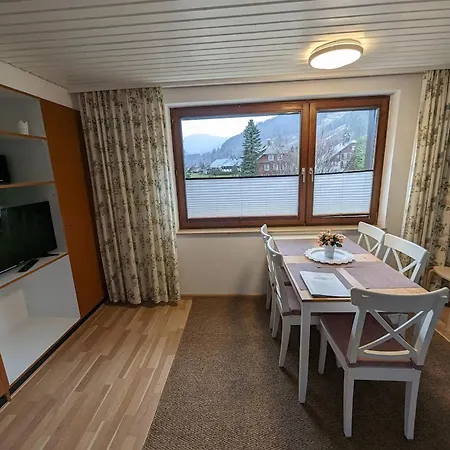C1 Albmatte-fewo Sauna, Hallenbad Aussenbecken Massagen Nebenan Apartment Menzenschwand