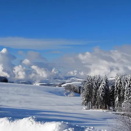 C1 Albmatte-fewo Sauna, Hallenbad Aussenbecken Massagen Nebenan * Menzenschwand-Hinterdorf