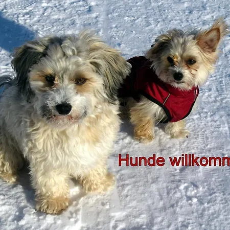 C1 Albmatte-fewo Sauna, Hallenbad Aussenbecken Massagen Nebenan شقة *