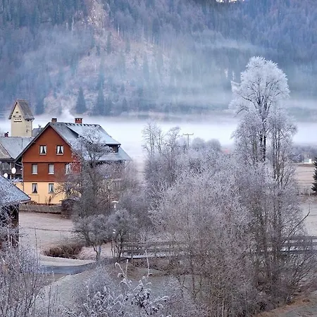 C1 Albmatte-fewo Sauna, Hallenbad Aussenbecken Massagen Nebenan *