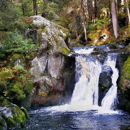C1 Albmatte-fewo Sauna, Hallenbad Aussenbecken Massagen Nebenan Menzenschwand-Hinterdorf