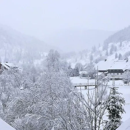 شقة C1 Albmatte-fewo Sauna, Hallenbad Aussenbecken Massagen Nebenan