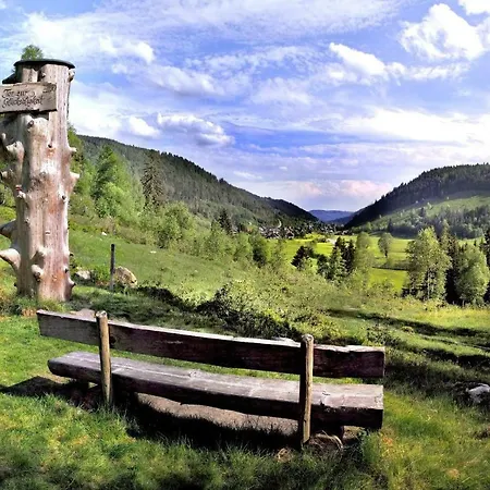 C1 Albmatte-fewo Sauna, Hallenbad Aussenbecken Massagen Nebenan