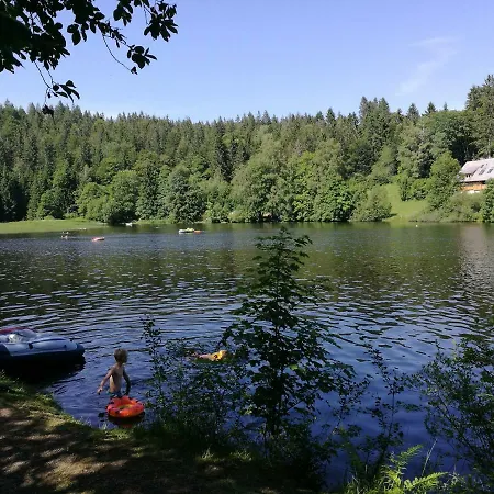 C1 Albmatte-fewo Sauna, Hallenbad Aussenbecken Massagen Nebenan * Menzenschwand-Hinterdorf