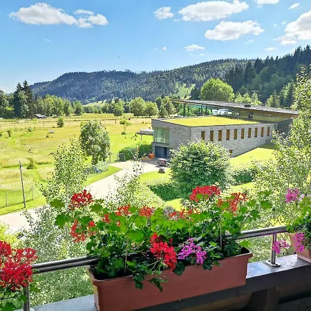 C1 Albmatte-fewo Sauna, Hallenbad Aussenbecken Massagen Nebenan Apartment *