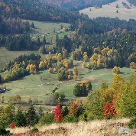 شقة C1 Albmatte-fewo Sauna, Hallenbad Aussenbecken Massagen Nebenan